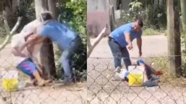 Abuelito es hospitalizado tras ser atacado por enjambre de abejas en Tabasco