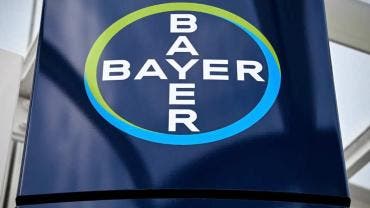 Bayer