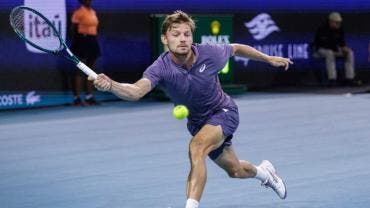 Goffin