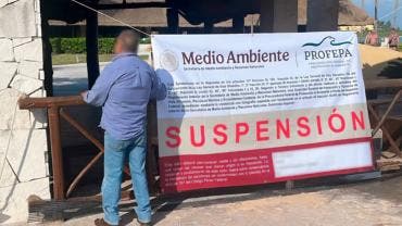 Profepa suspende espectáculos con delfines en el Hotel Barceló Riviera Maya