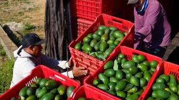 que productos subiran precio aguacate aranceles EU Mexico Canada China