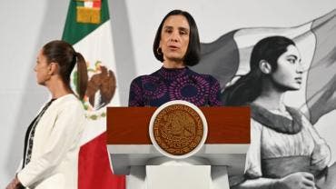 reformas neoliberales energia revertidas Luz Elena Gonzalez