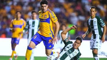 Tigres