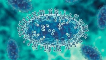 África acumula en el primer trimestre de 2025 casi el 50% de casos de mpox de 2024