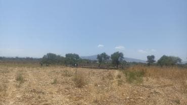 avioneta desploma Ameca Jalisco dos muertos