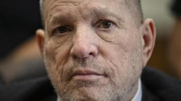 Weinstein 