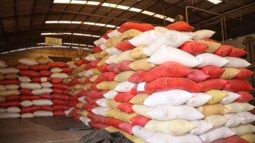 Cafetaleros de Chiapas reactivan exportación a EU tras incertidumbre arancelaria