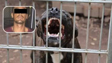 Detienen a hombre que ordenó a su perro atacar a su vecina en Monterrey