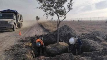 FOTOS  Sheinbaum muestra avances del Tren México-Pachuca
