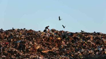 Hallan feto en basurero municipal de Mazatlán dentro de una bolsa negra