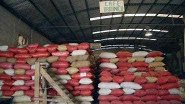 productores cafe cacao piden Trump eximirlos aranceles