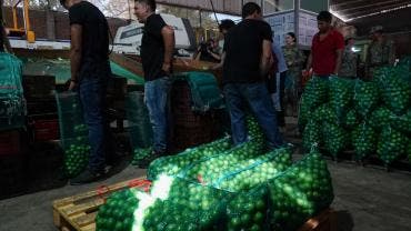 repunta inflacion 3 punto 80 marzo limon sube