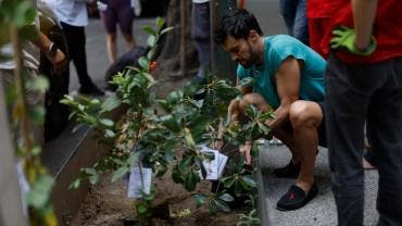 Chapingo ONG UNAM reforestacion urbana CDMX calor