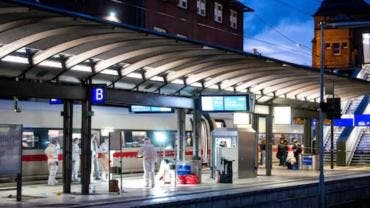 Mujer detenida por apuñalamiento en Hamburgo había salido de clínica psiquiátrica