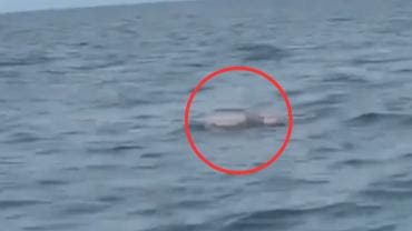 VIDEO  Hallan cuerpo de uno de los turistas arrastrados por el mar en Zicatela