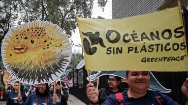 celebra Greenpeace ratificacion Senado tratado global oceanos