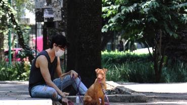 infertildad afecta 40 por ciento salud mujeres