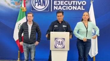 PAN defiende triunfos estatales ve 10 por ciento eleccion judicial