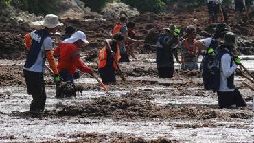 Sargazo vuelve a amenazar la temporada turística en Quintana Roo