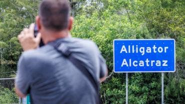 Alligator Alcatraz
