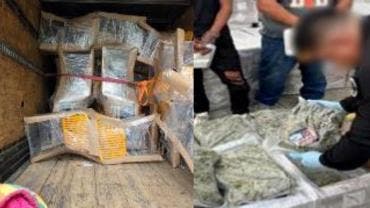 Aseguran más de una tonelada de marihuana oculta en muebles, en Tabasco; hay dos detenidos
