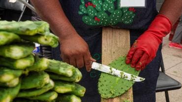 cae inflacion a 3 punto 55 por ciento Inegi