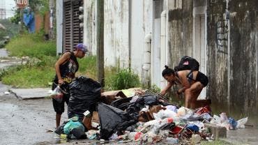 lanza ONG consorcio tras desaparicion Coneval pobreza