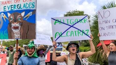 Migrantes describen el infierno en Alligator Alcatraz: calor extremo, comida podrida y falta de agua