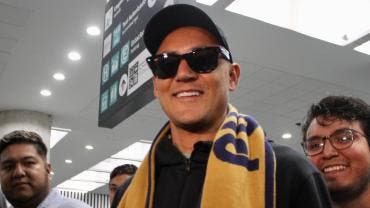 Pumas