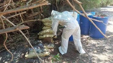 Operación Frontera Norte: Golpe de 100 mdp al crimen organizado en Sinaloa