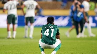 Palmeiras