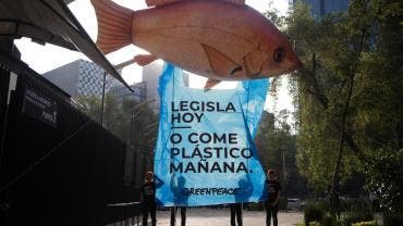 pide Greenpeace prohibir plasticos de un solo uso