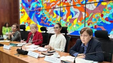Semarnat ONU tala clandestina