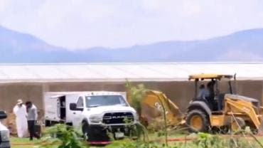 urgen universitarios identificacion cuerpos fosas Zapopan