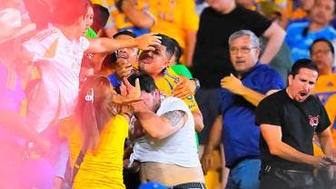 Aficionados de Tigres 