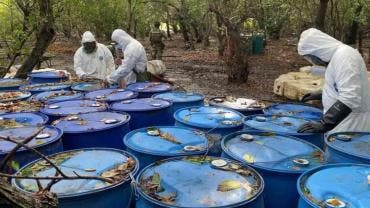 Desmantelan en Nayarit narcolaboratorio con casi 13 toneladas de metanfetamina