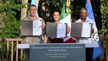México, Guatemala y Belice crean corredor biocultural de la Gran Selva Maya