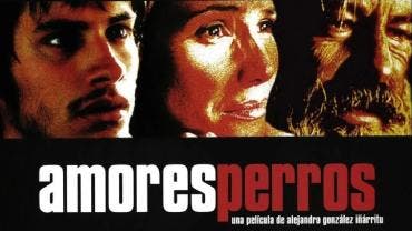 Amores PerrosAmores Perros