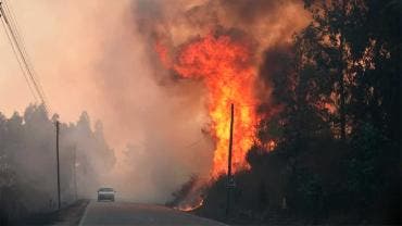 Portugal sufre incendio forestal