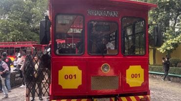 presenta CDMX tranvias turisticos.jpg