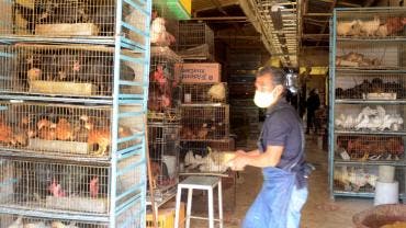 Mercado Sonora
