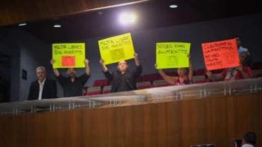 Colectivos y ciudadanos defensores de los animales 