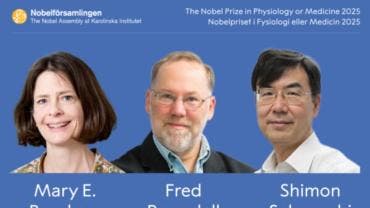 Nobel Medicina tolerancia inmunologica periferica.jpg