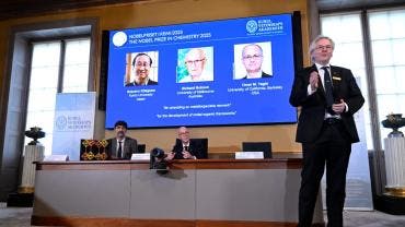 nobel quimica estructura metaorganicas.jpg