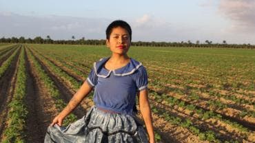 ordenan liberar Catalina Xochitl Santiago.jpg