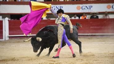 corridas de toros