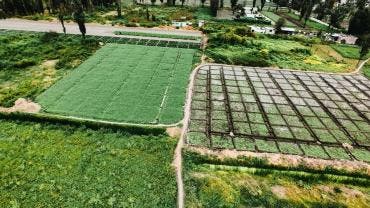  “no hay mejor programa social que tener un empleo remunerado”, señaló la funcionaria