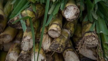 aumenta Mexico aranceles azucar.jpg