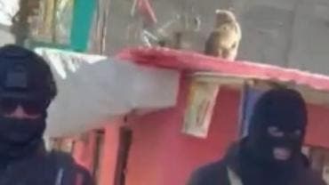 detienen El Sambo San Felipe Jesus.jpg