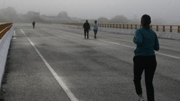 identifican 15 mexicanas violencia genero.jpg